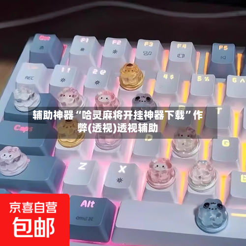 辅助神器“哈灵麻将开挂神器下载	”作弊(透视)透视辅助-第2张图片