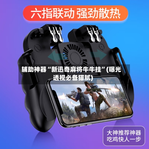 辅助神器“新迅奇麻将牛牛挂”(曝光透视必备猫腻)-第1张图片