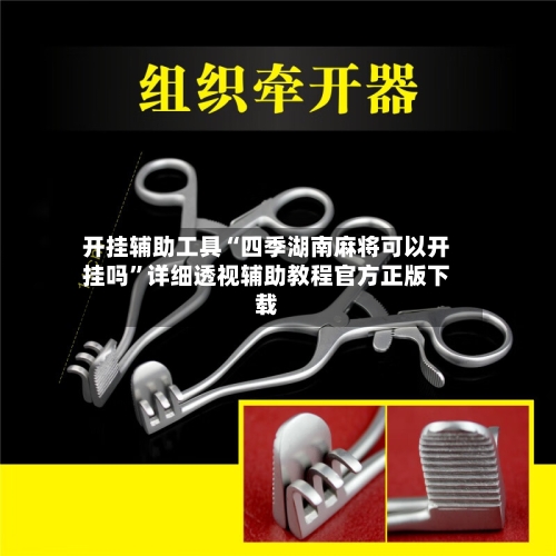 开挂辅助工具“四季湖南麻将可以开挂吗”详细透视辅助教程官方正版下载-第3张图片