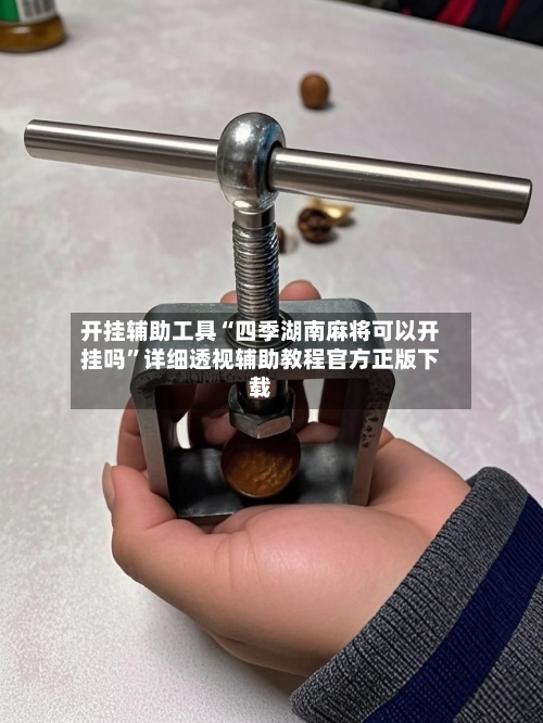 开挂辅助工具“四季湖南麻将可以开挂吗”详细透视辅助教程官方正版下载-第2张图片