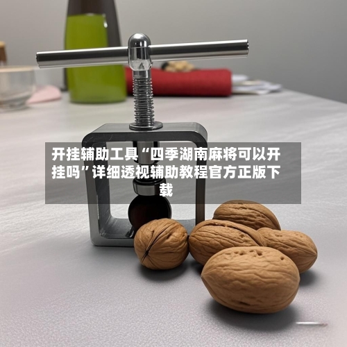 开挂辅助工具“四季湖南麻将可以开挂吗	”详细透视辅助教程官方正版下载-第1张图片