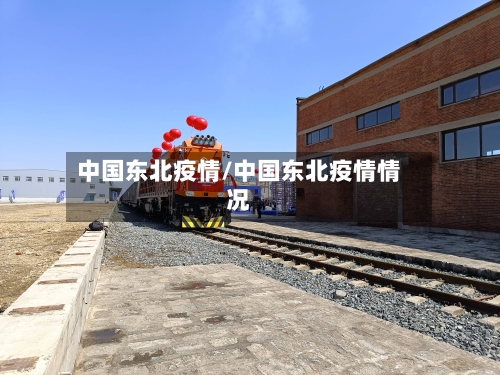 中国东北疫情/中国东北疫情情况-第1张图片