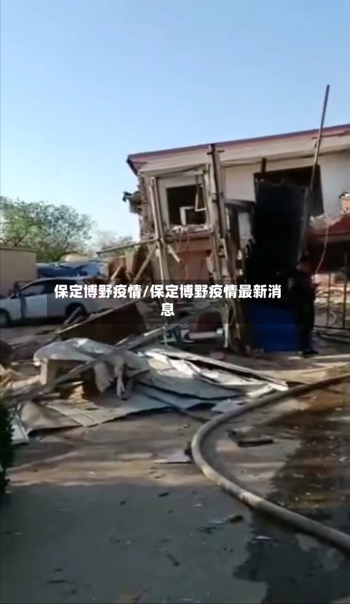 保定博野疫情/保定博野疫情最新消息-第2张图片