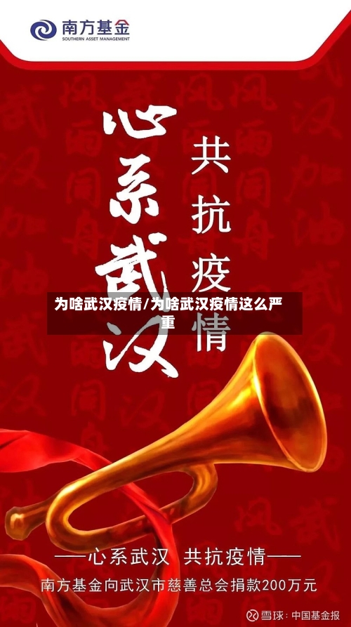 为啥武汉疫情/为啥武汉疫情这么严重-第1张图片