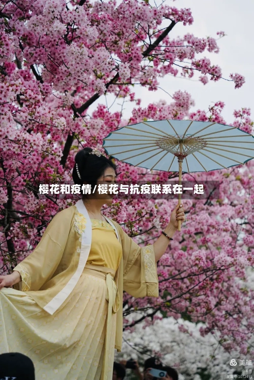 樱花和疫情/樱花与抗疫联系在一起-第1张图片