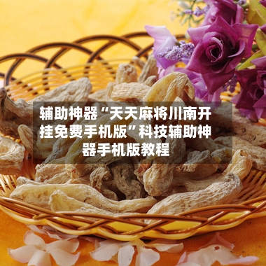 辅助神器“天天麻将川南开挂免费手机版”科技辅助神器手机版教程-第1张图片