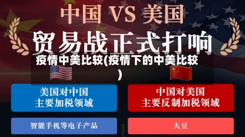 疫情中美比较(疫情下的中美比较)-第1张图片