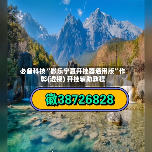 必备科技“微乐宁夏开挂器通用版”作弊(透视) 开挂辅助教程-第2张图片