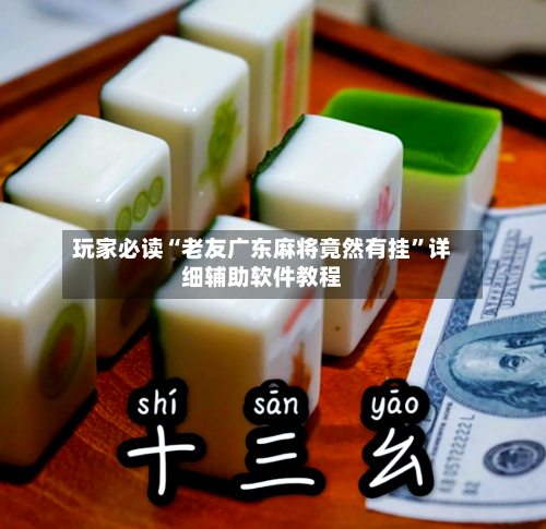 玩家必读“老友广东麻将竟然有挂”详细辅助软件教程-第1张图片