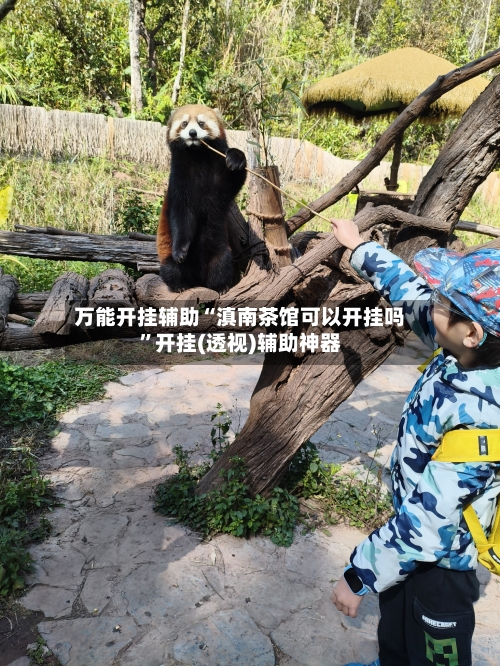 万能开挂辅助“滇南茶馆可以开挂吗”开挂(透视)辅助神器-第1张图片