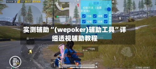 实测辅助“(wepoker)辅助工具”详细透视辅助教程-第1张图片