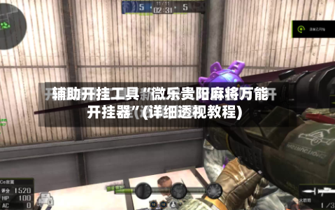 辅助开挂工具“微乐贵阳麻将万能开挂器”(详细透视教程)-第2张图片
