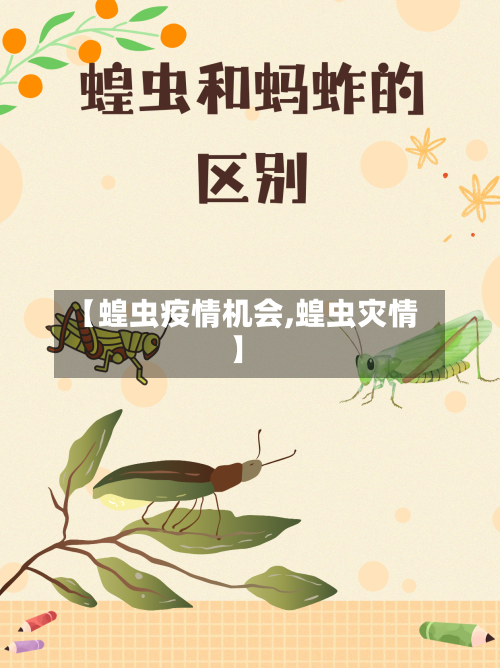 【蝗虫疫情机会,蝗虫灾情】-第1张图片