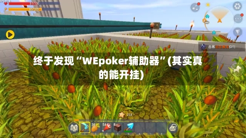 终于发现“WEpoker辅助器	”(其实真的能开挂)-第1张图片