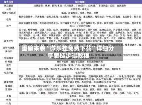 重磅来袭“微乐挂免费下载”详细分享装挂步骤教程-第1张图片