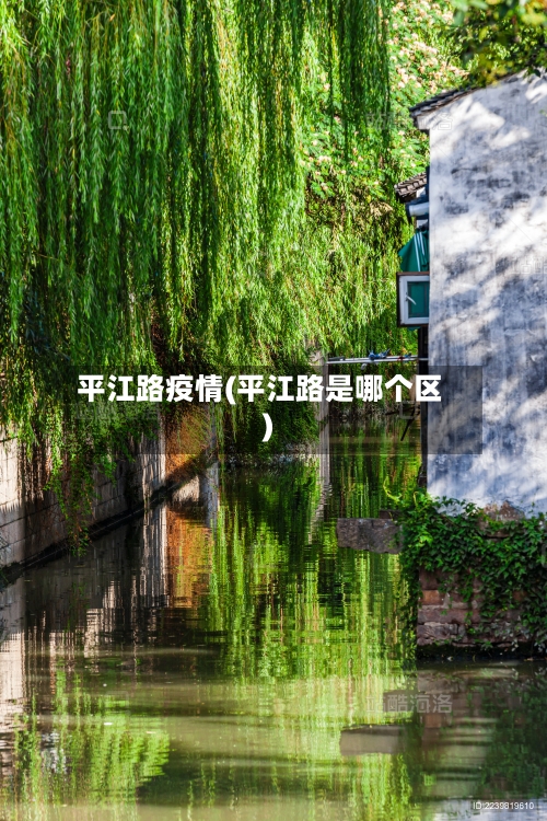平江路疫情(平江路是哪个区)-第1张图片