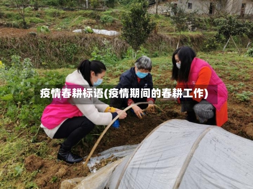 疫情春耕标语(疫情期间的春耕工作)-第1张图片