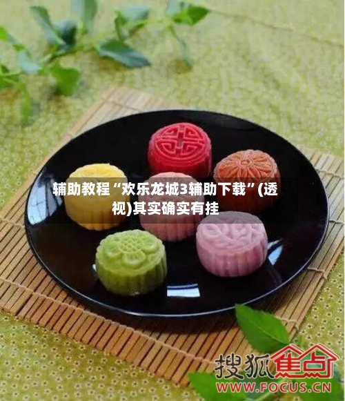 辅助教程“欢乐龙城3辅助下载”(透视)其实确实有挂-第2张图片