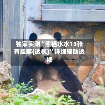 独家实测“熊猫水水13张有挂嘛(透视)”详细辅助透视-第1张图片