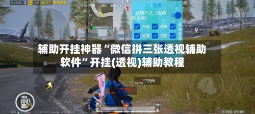 辅助开挂神器“微信拼三张透视辅助软件	”开挂(透视)辅助教程-第1张图片