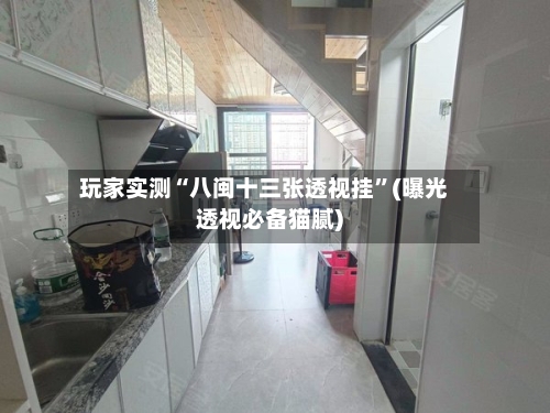 玩家实测“八闽十三张透视挂	”(曝光透视必备猫腻)-第1张图片