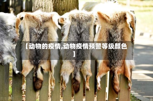 【动物的疫情,动物疫情预警等级颜色】-第1张图片