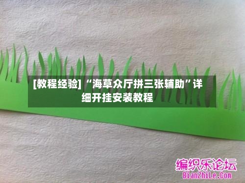 [教程经验] “海草众厅拼三张辅助”详细开挂安装教程-第2张图片