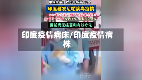 印度疫情病床/印度疫情病株-第2张图片