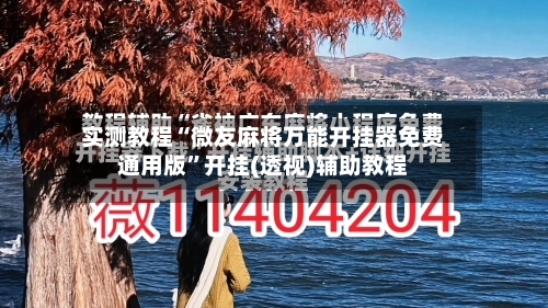 实测教程“微友麻将万能开挂器免费通用版	”开挂(透视)辅助教程-第2张图片