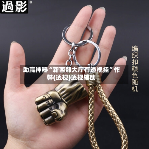 助赢神器“新西部大厅有透视挂”作弊(透视)透视辅助-第2张图片