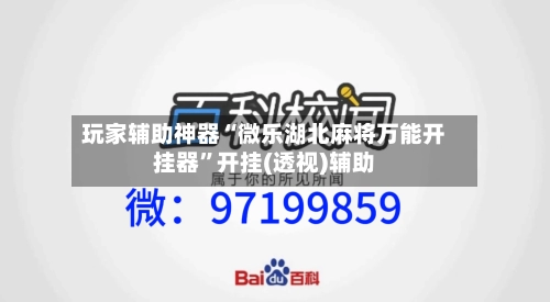 玩家辅助神器“微乐湖北麻将万能开挂器”开挂(透视)辅助-第1张图片