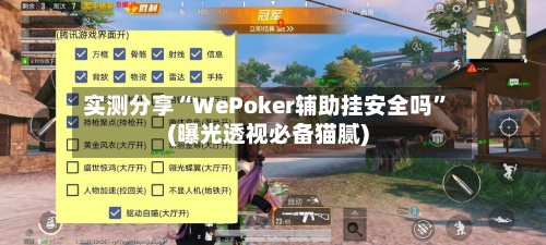 实测分享“WePoker辅助挂安全吗”(曝光透视必备猫腻)-第1张图片