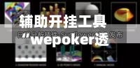 辅助开挂工具“wepoker透视真的吗(透视挂)”附开挂脚本详细步骤-第1张图片