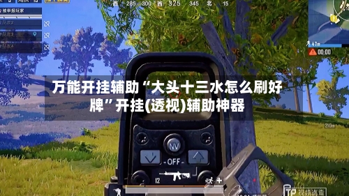 万能开挂辅助“大头十三水怎么刷好牌	”开挂(透视)辅助神器-第3张图片