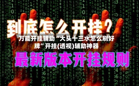 万能开挂辅助“大头十三水怎么刷好牌”开挂(透视)辅助神器-第2张图片