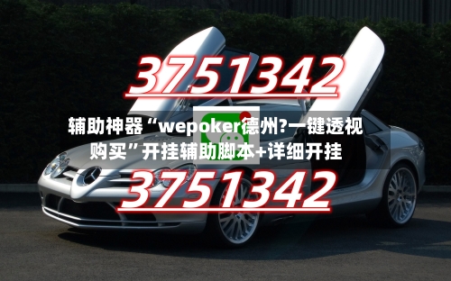 辅助神器“wepoker德州?一键透视购买	”开挂辅助脚本+详细开挂-第1张图片