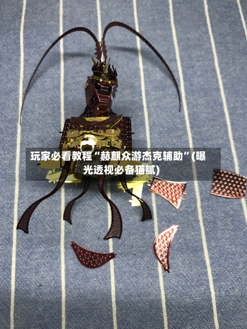 玩家必看教程“赫麒众游杰克辅助”(曝光透视必备猫腻)-第3张图片