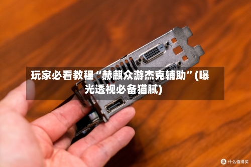 玩家必看教程“赫麒众游杰克辅助”(曝光透视必备猫腻)-第2张图片