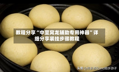 教程分享“中至窝龙辅助专用神器	”详细分享装挂步骤教程-第2张图片