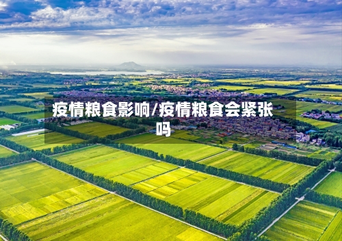疫情粮食影响/疫情粮食会紧张吗-第1张图片