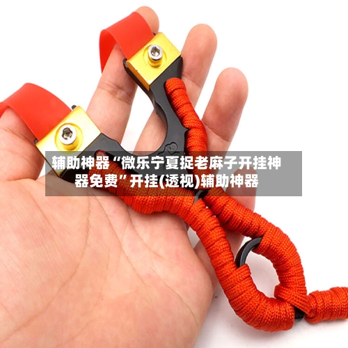 辅助神器“微乐宁夏捉老麻子开挂神器免费”开挂(透视)辅助神器-第1张图片