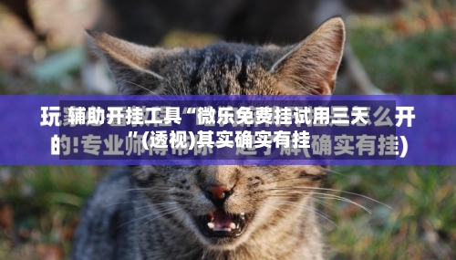 辅助开挂工具“微乐免费挂试用三天”(透视)其实确实有挂-第1张图片