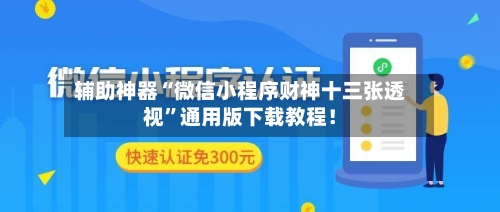 辅助神器“微信小程序财神十三张透视”通用版下载教程！-第3张图片