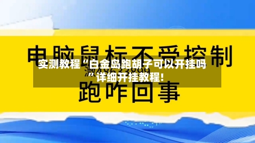 实测教程“白金岛跑胡子可以开挂吗	”详细开挂教程!-第1张图片