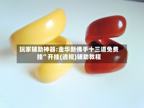 玩家辅助神器:金华新佛手十三道免费挂	”开挂(透视)辅助教程-第1张图片