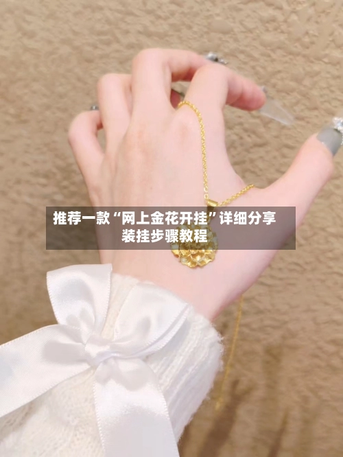 推荐一款“网上金花开挂”详细分享装挂步骤教程-第1张图片