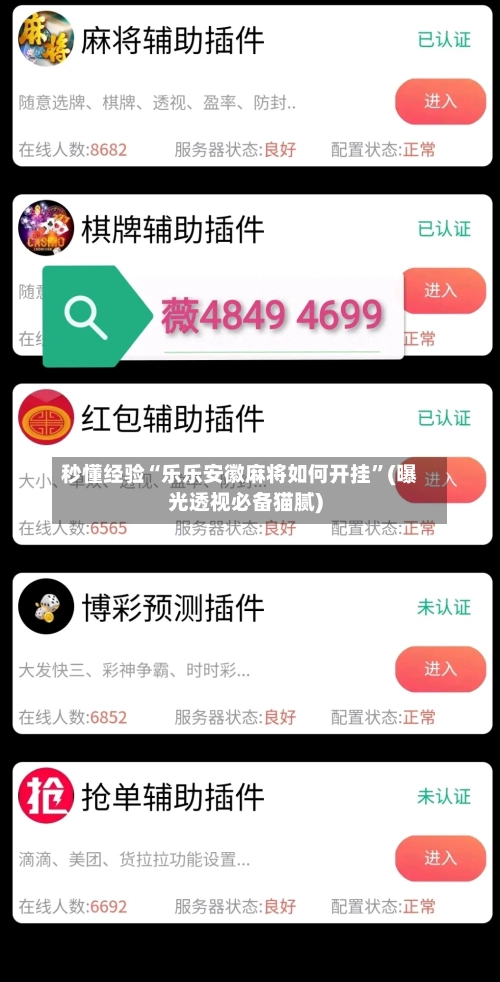 秒懂经验“乐乐安徽麻将如何开挂	”(曝光透视必备猫腻)-第3张图片