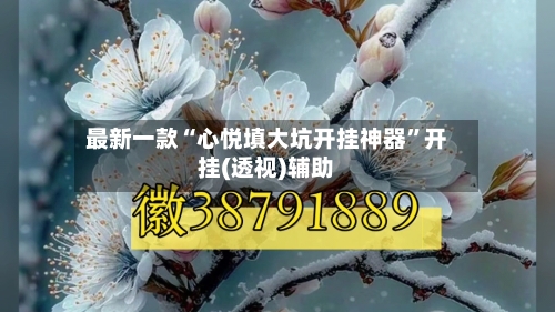 最新一款“心悦填大坑开挂神器”开挂(透视)辅助-第1张图片
