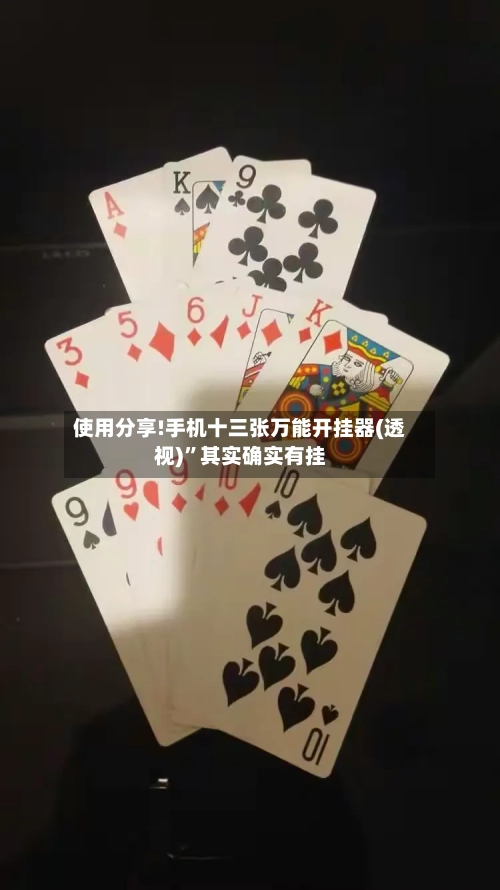 使用分享!手机十三张万能开挂器(透视)	”其实确实有挂-第1张图片