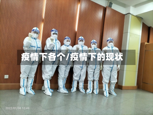 疫情下各个/疫情下的现状